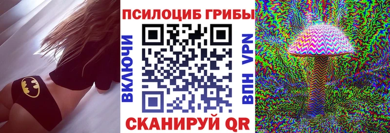 Купить  Полтавская  Псилоцибиновые грибы Magic Shrooms 