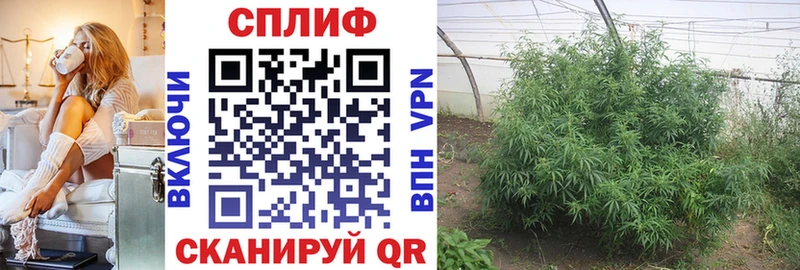 МАРИХУАНА Bruce Banner  Купить  Полтавская 